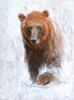 Grizzly Bear
