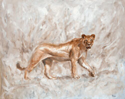 Lioness