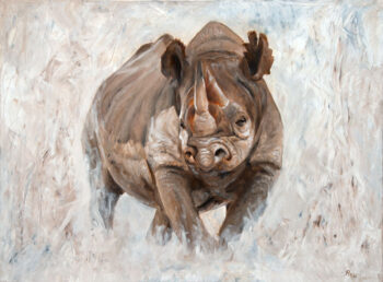Black Rhino