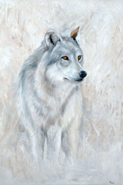 Gray Wolf
