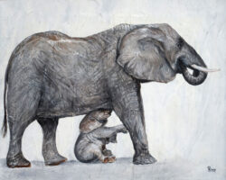 Elephant Feeding Time