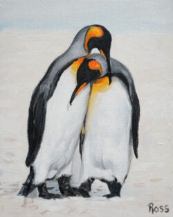 King Penguin Couple