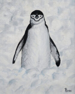 Penguin In Snow