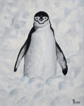 Penguin In Snow
