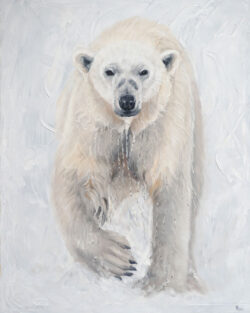 Polar Bear 2