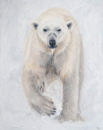 Polar Bear 2