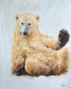 Polar Bear 3