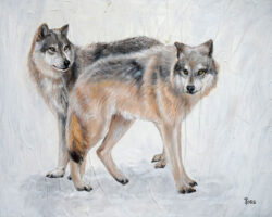 Wolves